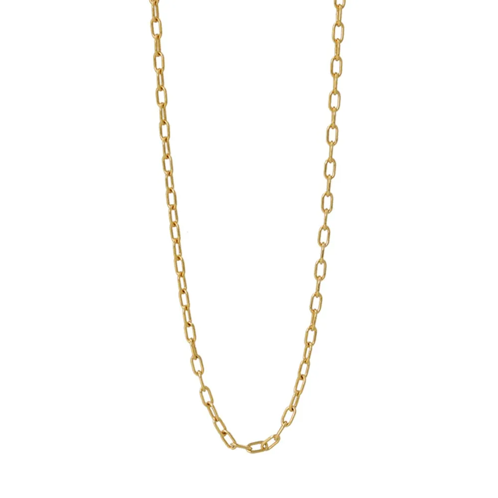 Gold Tone Loose Chain Necklace