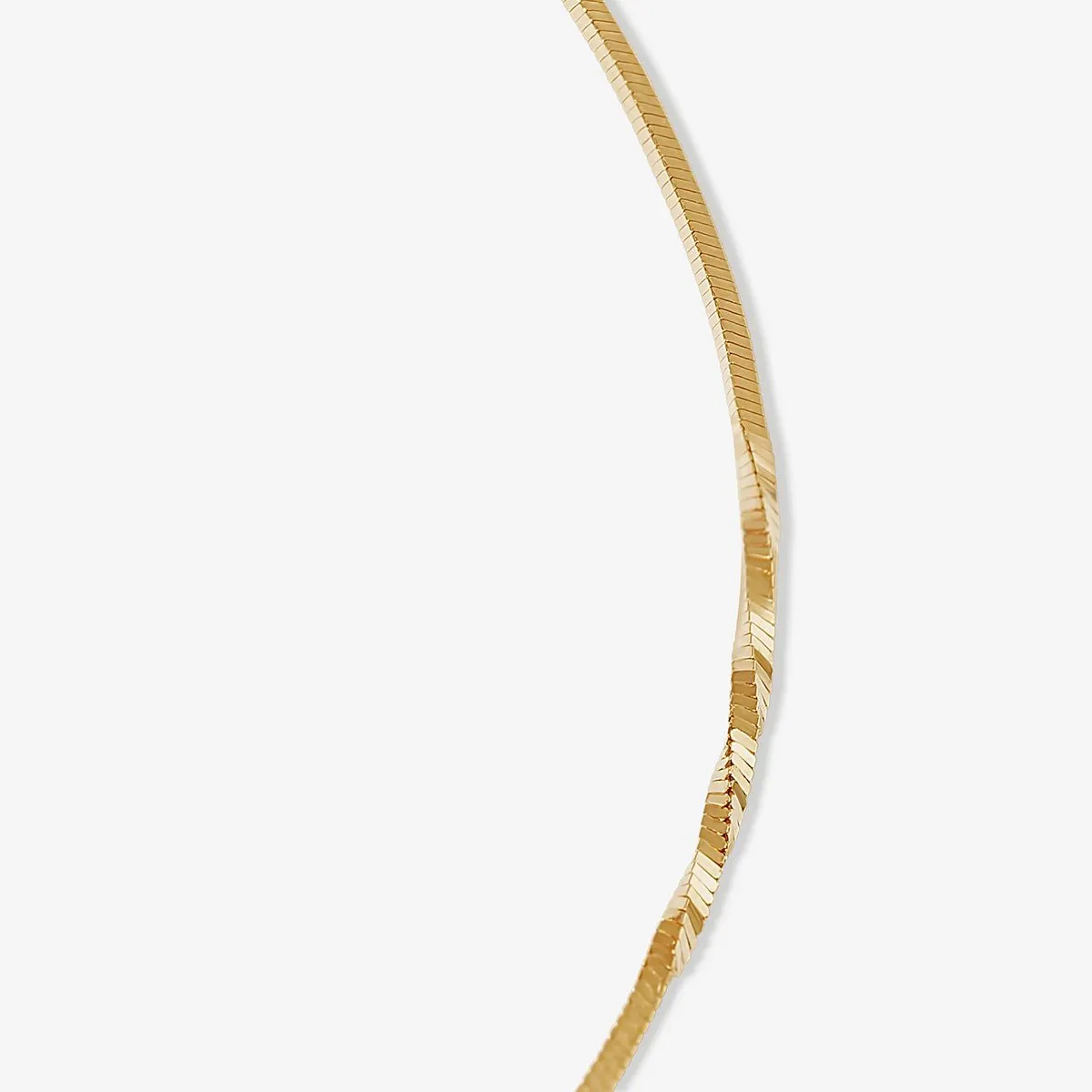 Jeremiah twisted snake chain anklet