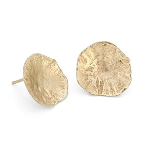 Limpet Studs 9ct Gold