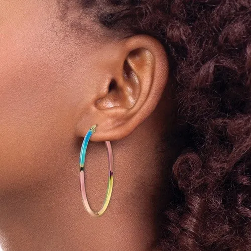 Stainless Steel Rainbow IP-plated Hoop Earrings